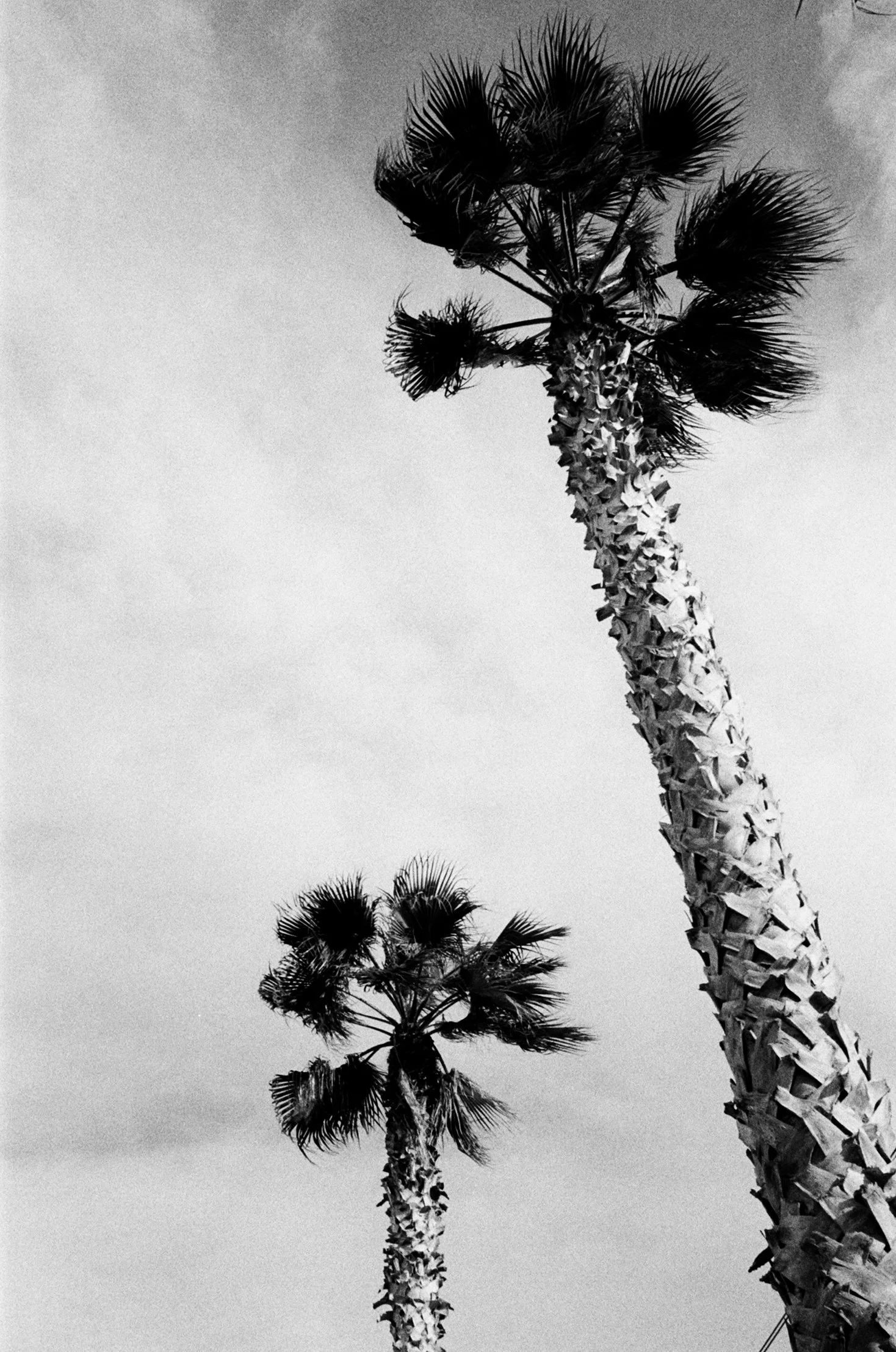 000046190036 copy.jpg