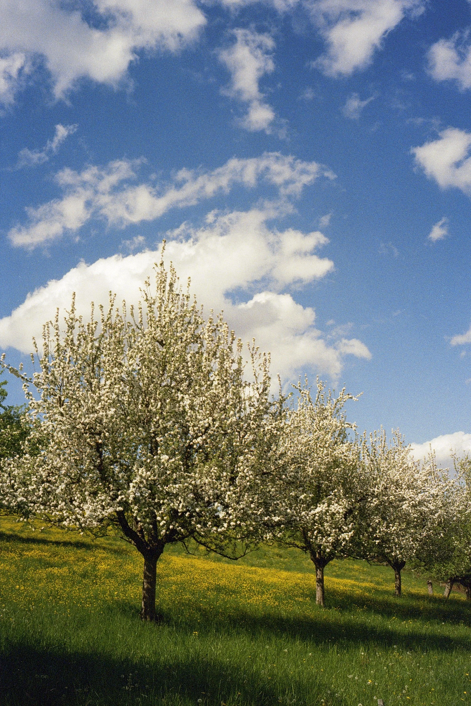9894_19 copy.jpg