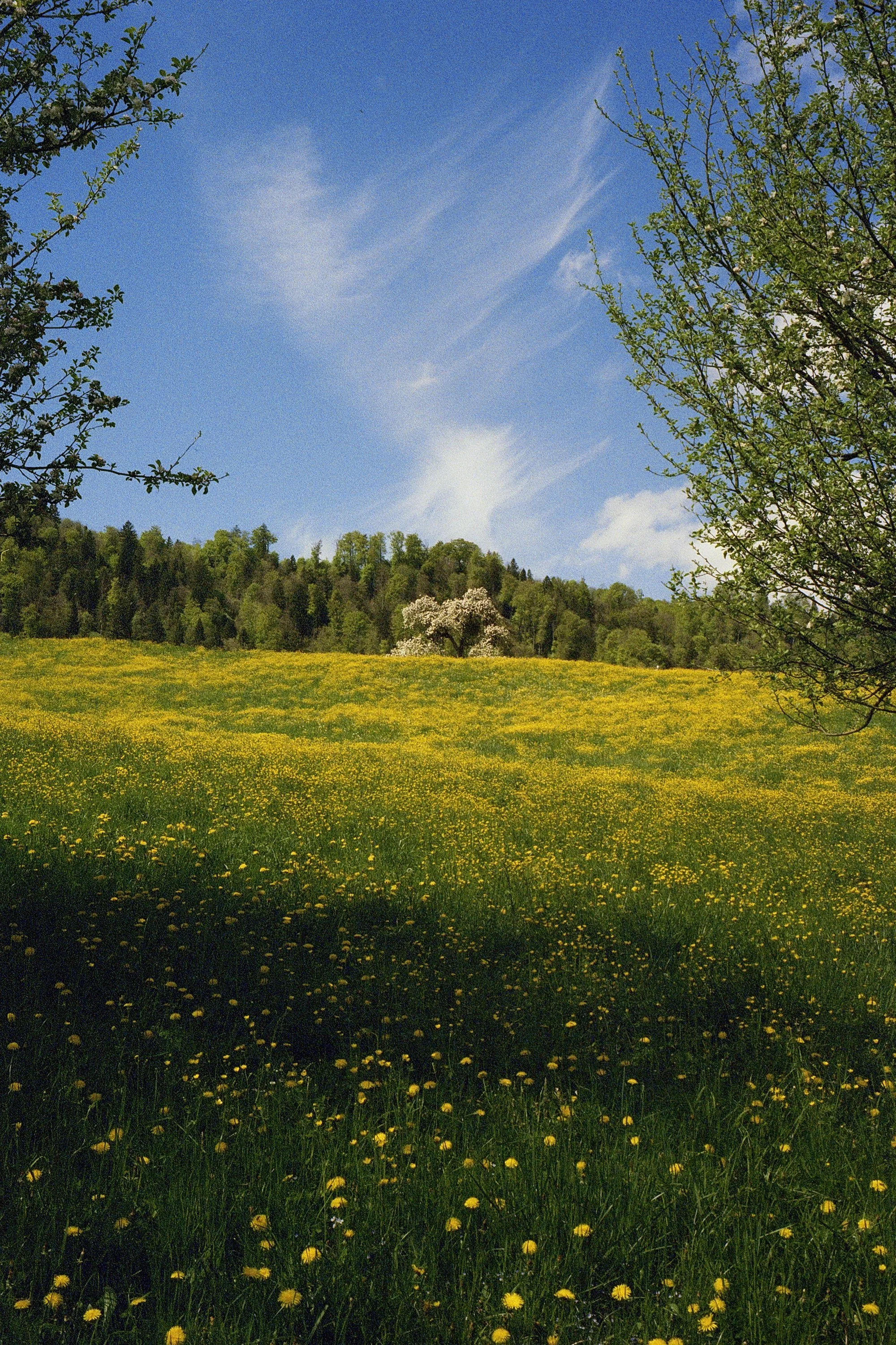 9894_20 copy.jpg