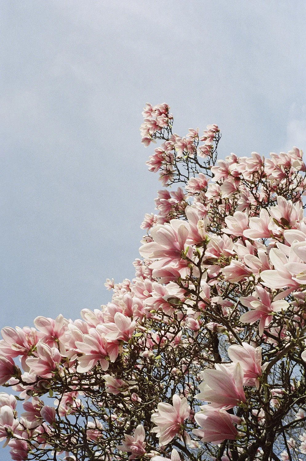 1679_022 copy.jpg