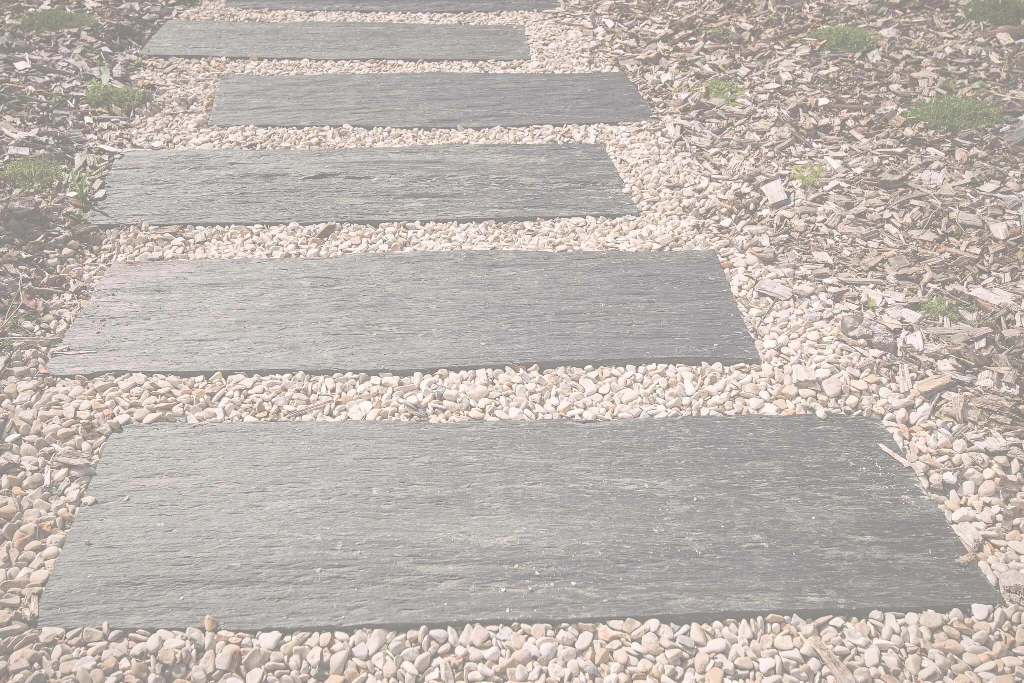 A4Nature - background-4.jpg