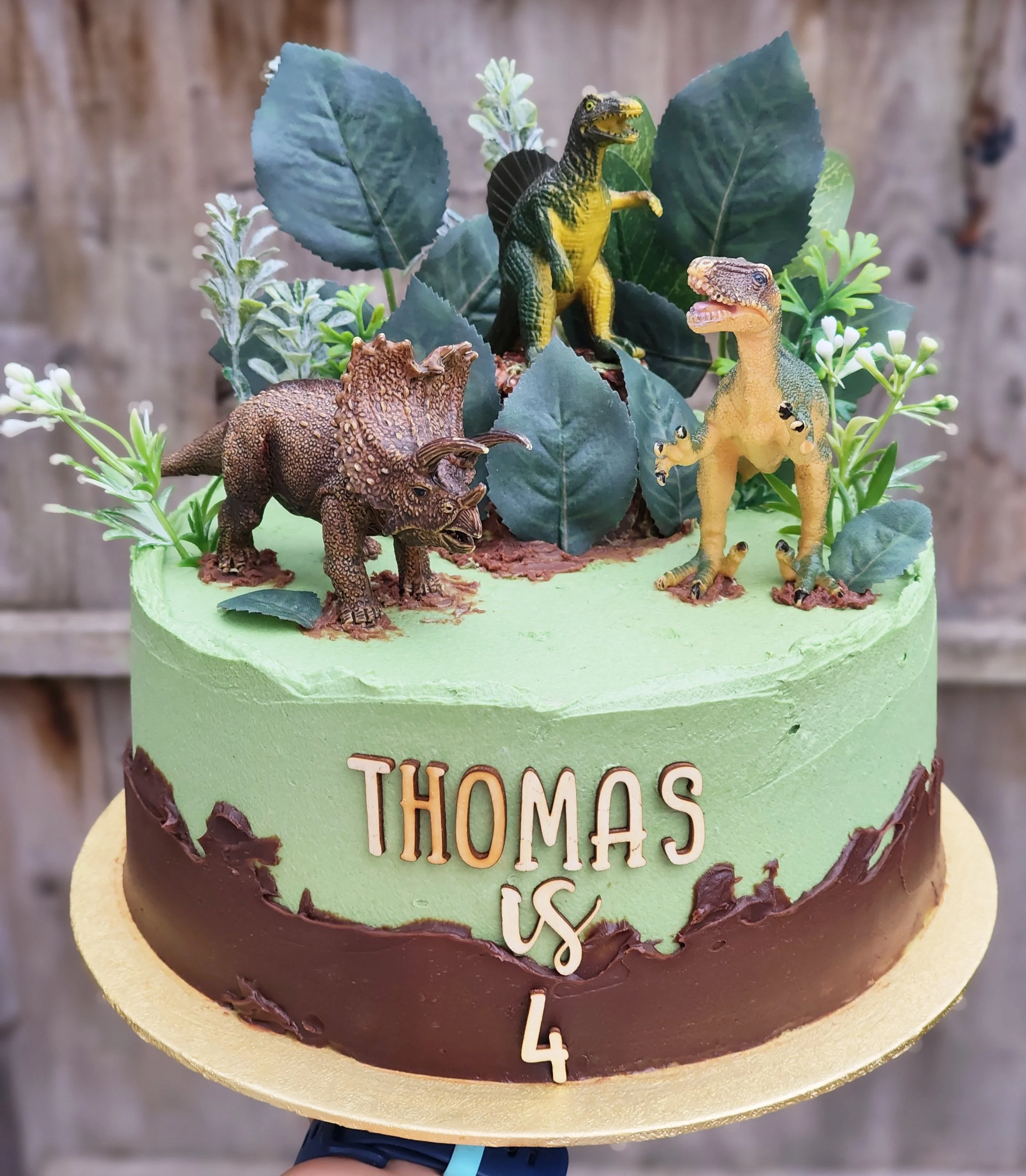 Dinosaur Birthday Cake