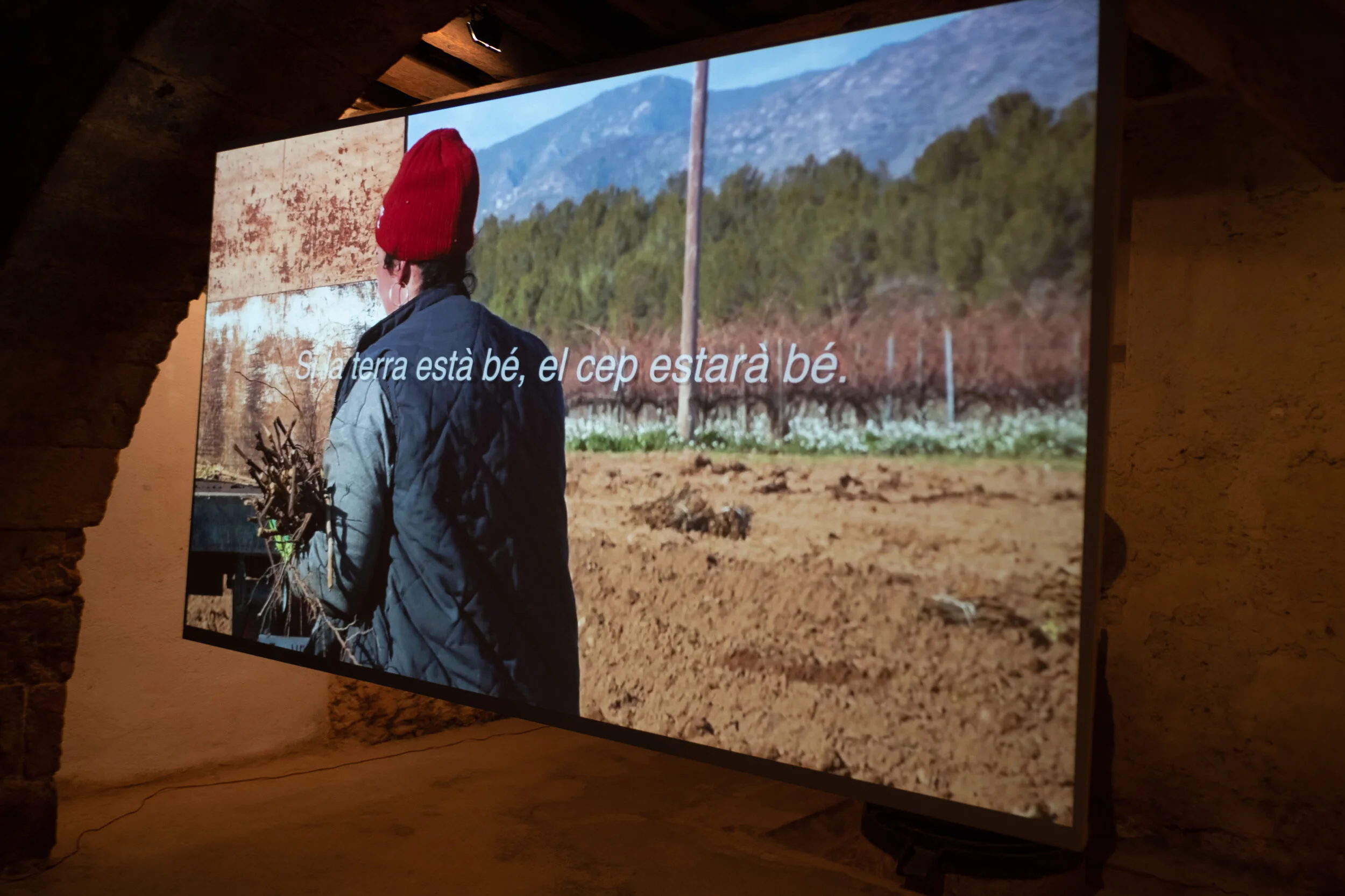 DSCF8939.jpg
