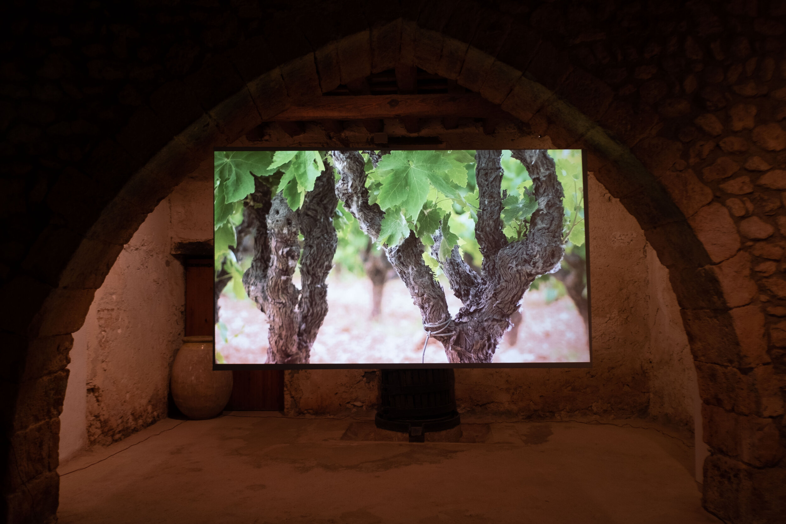  Vista d’un espai de la galeria amb la projecció del vídeo  “1 x 2” (2019)  realitzat per Miralda i Muntadas. 