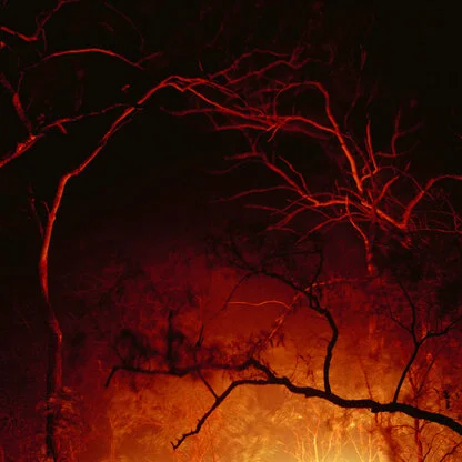 "Fire II" Australia, 2008 |  C-print sobre alumini (dibond) darrera de metacrilat. Edició: 8 + 2 AP | 150 x 150 cm.