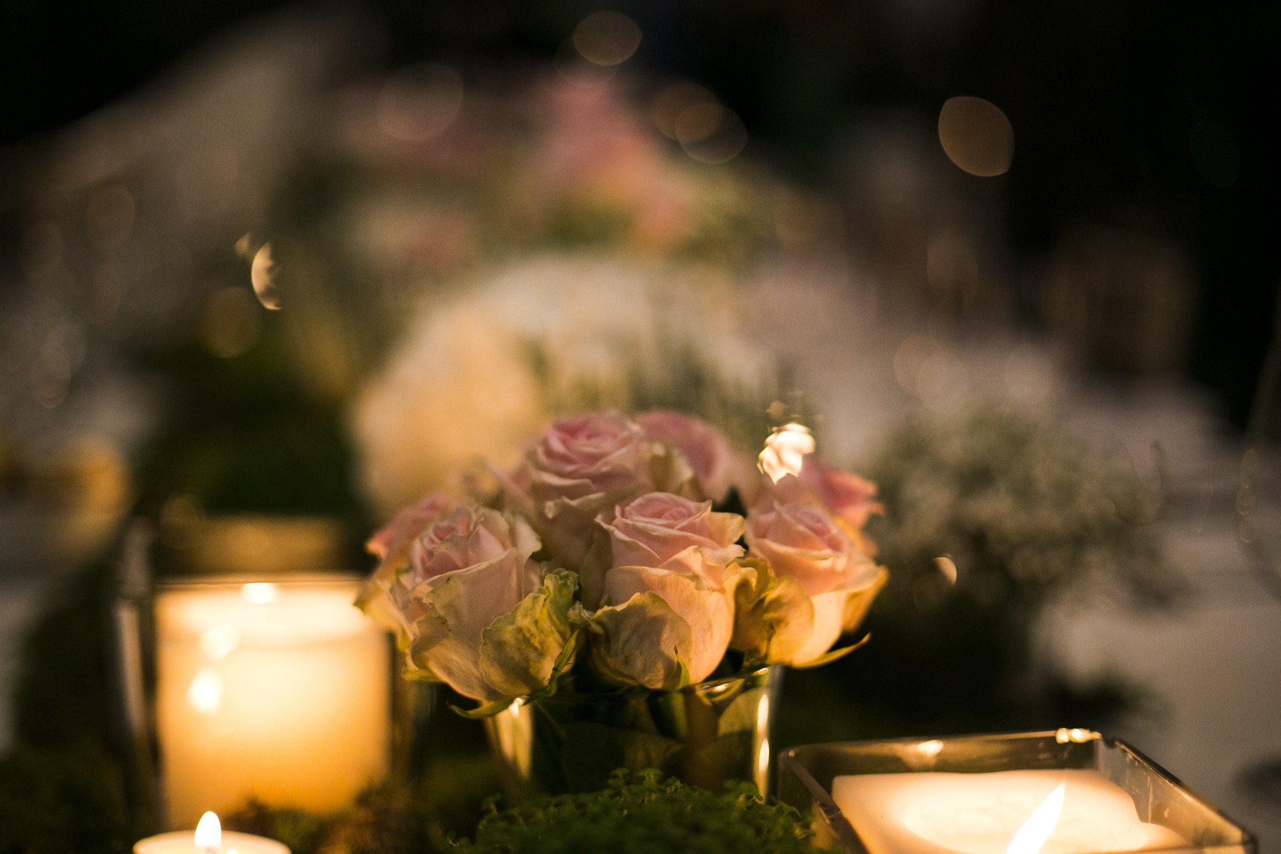 Fred & Silvia 748.jpg