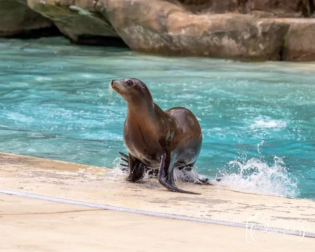 Gold DofE Residential – Blackpool Zoo – August 2026