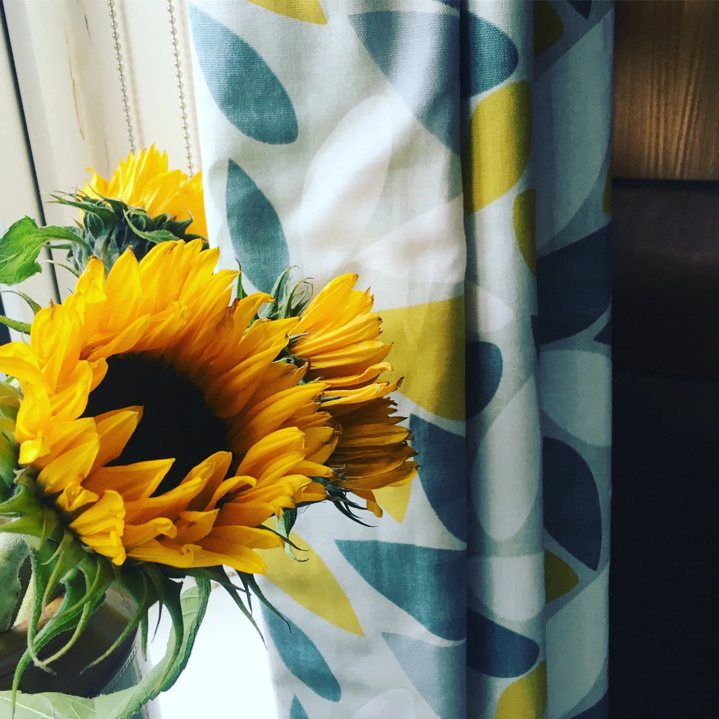 SUNSHINE & SUNFLOWERS