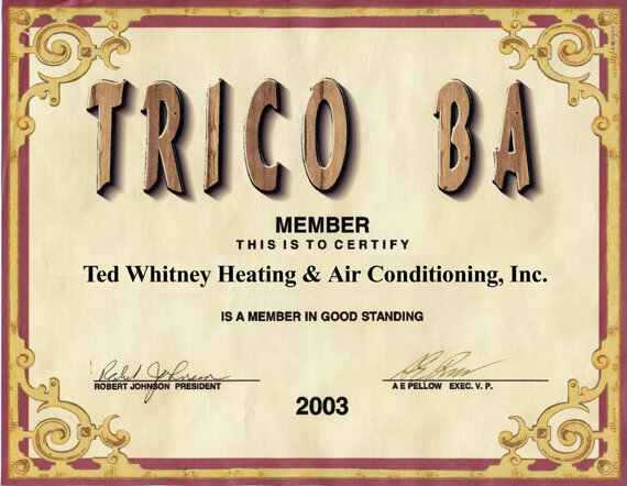  TRICO BA Member.  Member in Good Standing 2003 