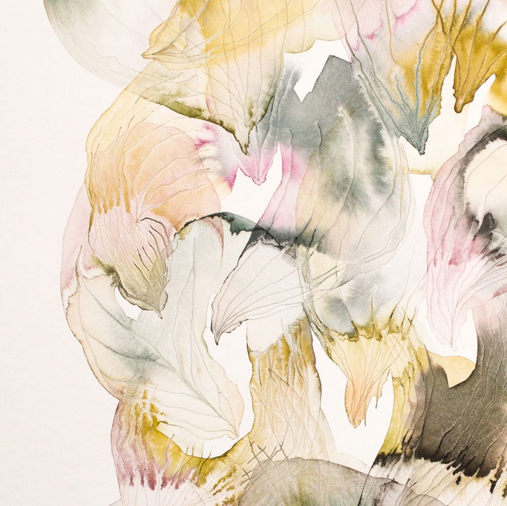Florescence_No5_02.jpg