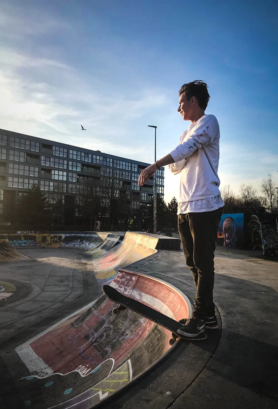 WhatsApp Image 2019-02-20 at 22.56.06.jpg