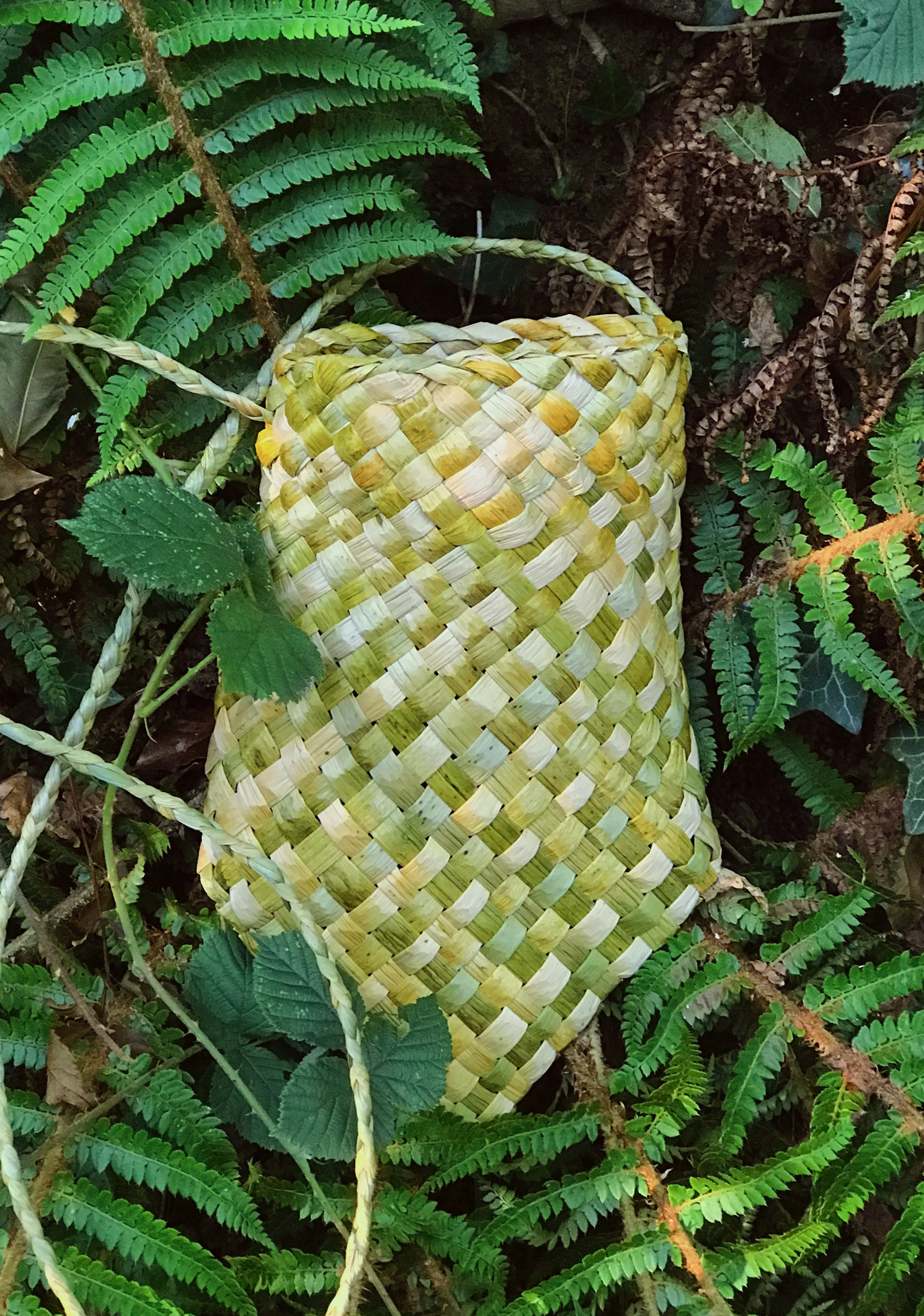Plaited Rush Foraging Bag Two Day Workshop