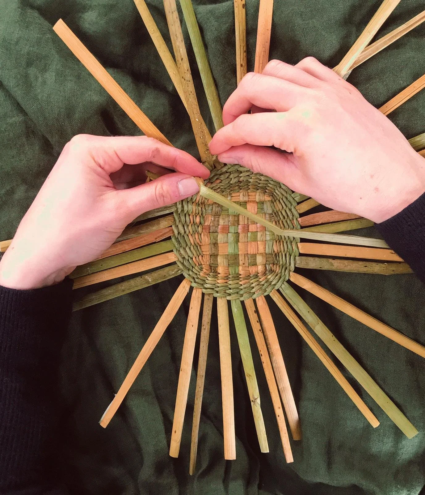 Introduction to Rush Weaving