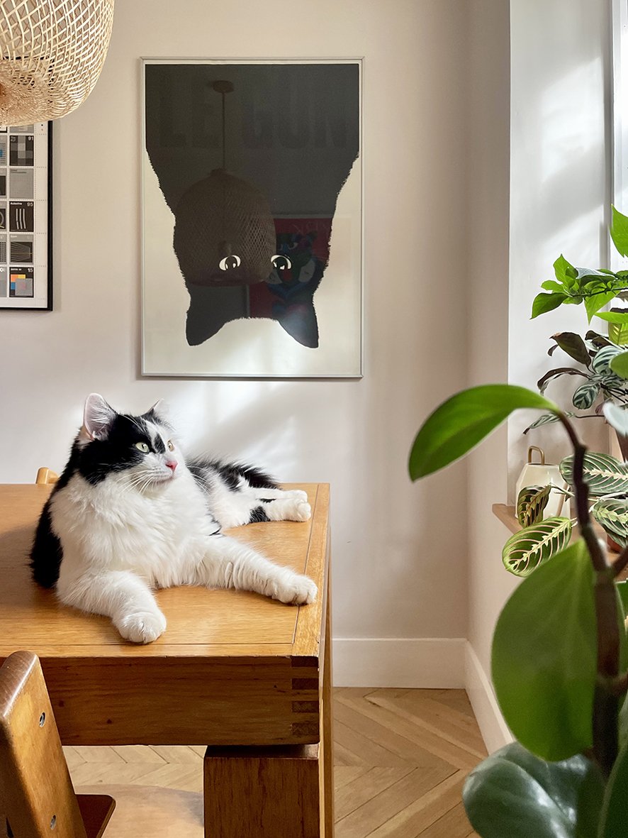 CharlotteBucciero-interiors-living-cat-artwork-oak-design-calm.jpg