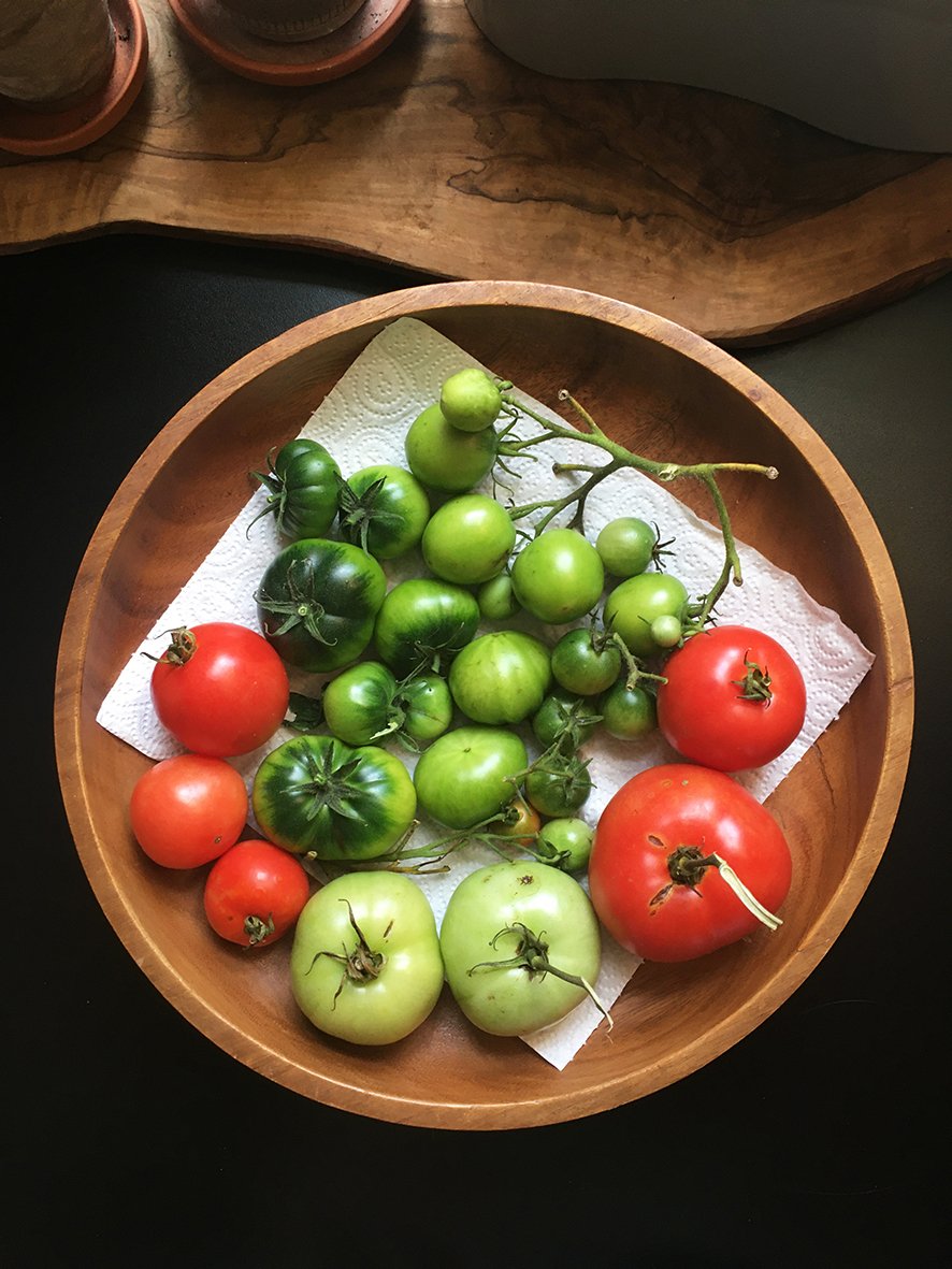CharrloteBucciero-interiors-fruit-bowl-tomato-homegrown.jpg