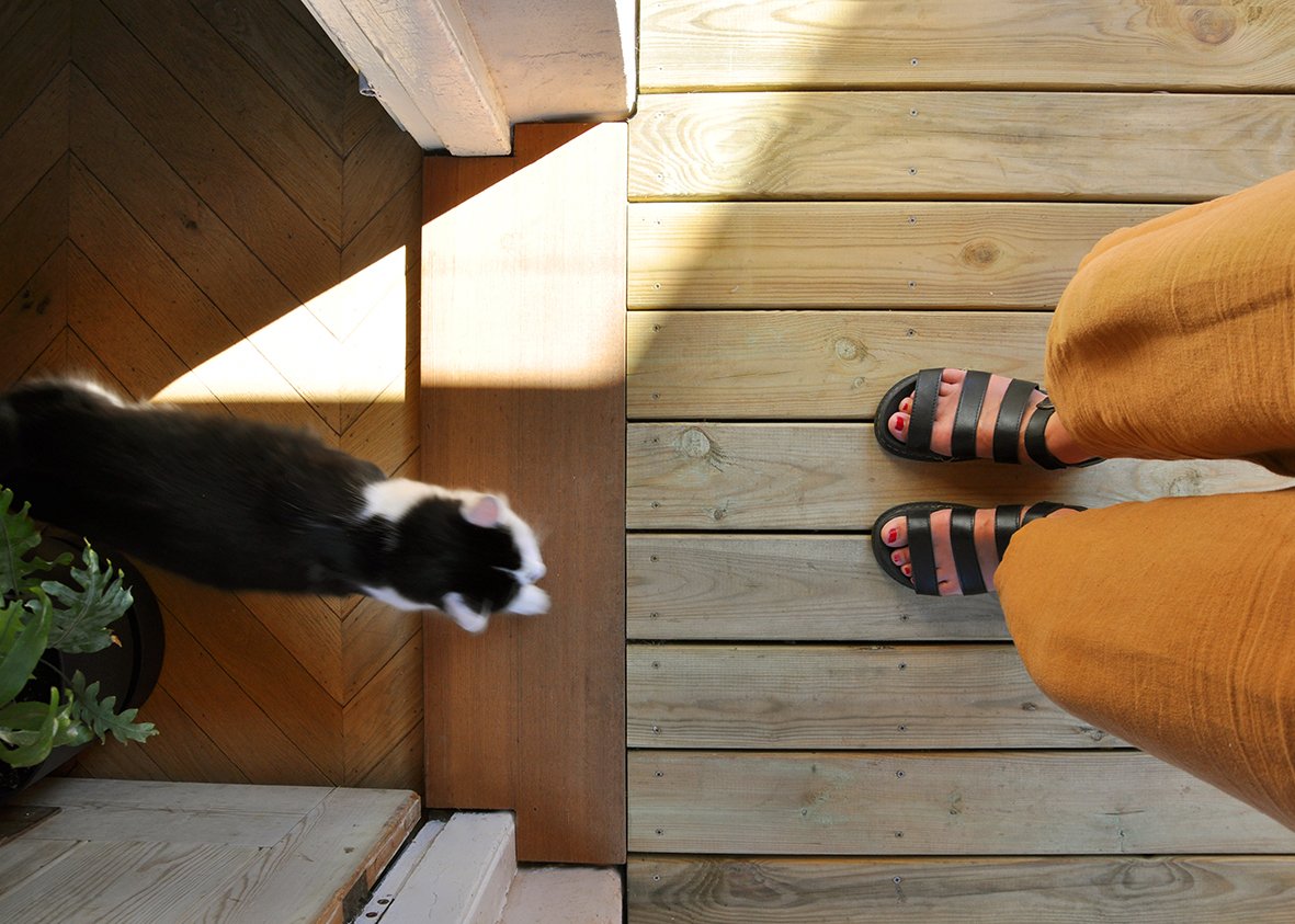 CharlotteBucciero-Interiors-Outside-decking-oak-flooring-cat.jpg