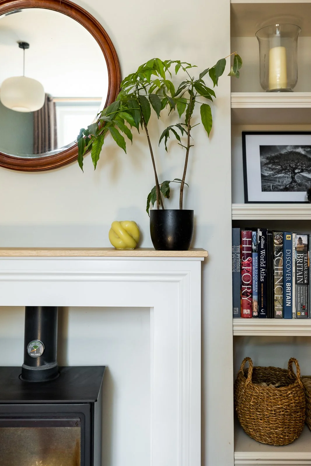 CharlotteBucciero-interiors-fireplace-mantlepiece-mirror-houseplant-bookshelf-logburner.jpg