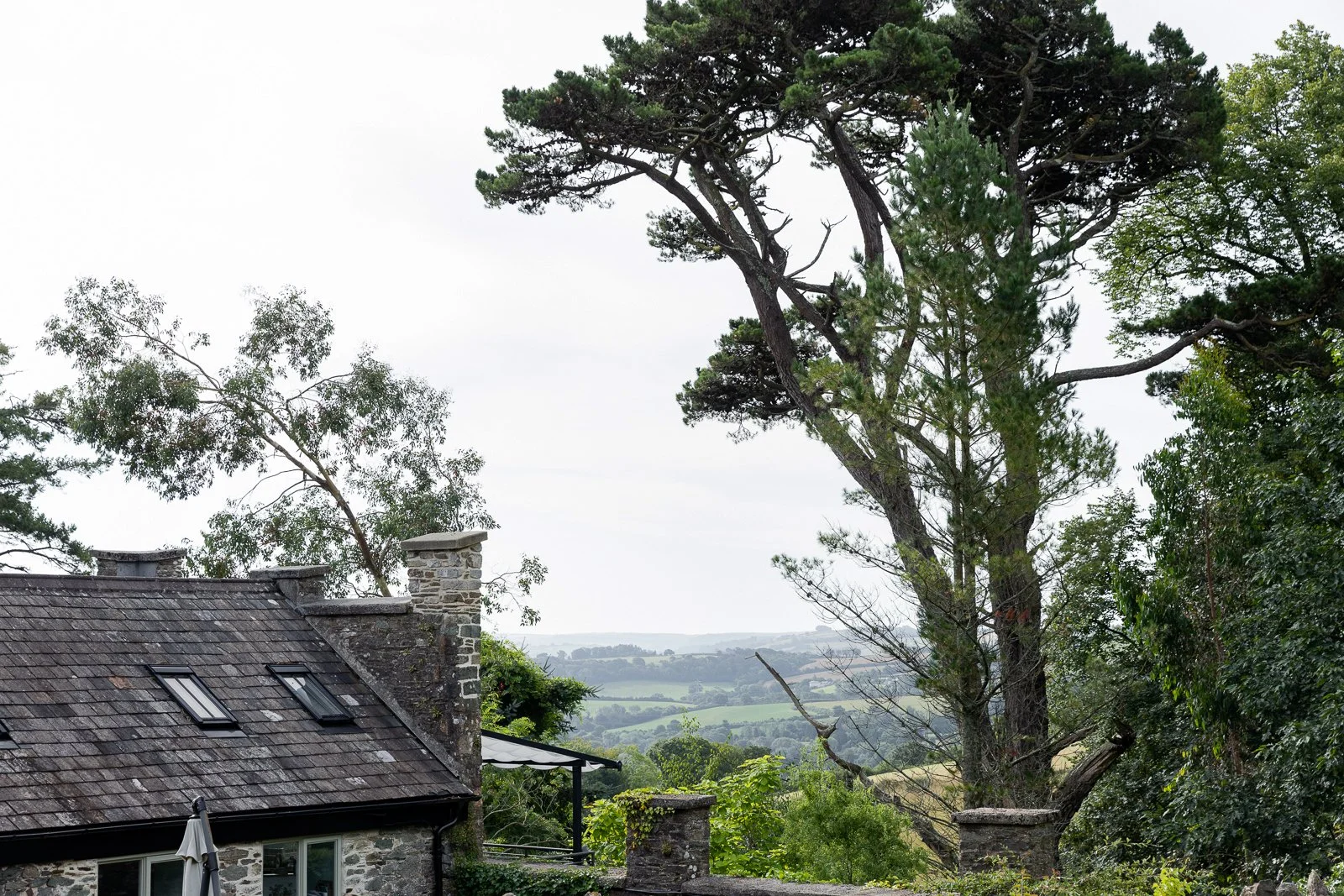 cottage-views-valley-tree-charlotte-bucciero-interiors.jpg