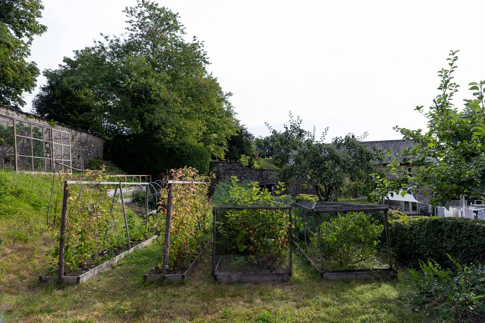 walled-garden-berries-vegetables-charlotte-bucciero-interiors.jpg
