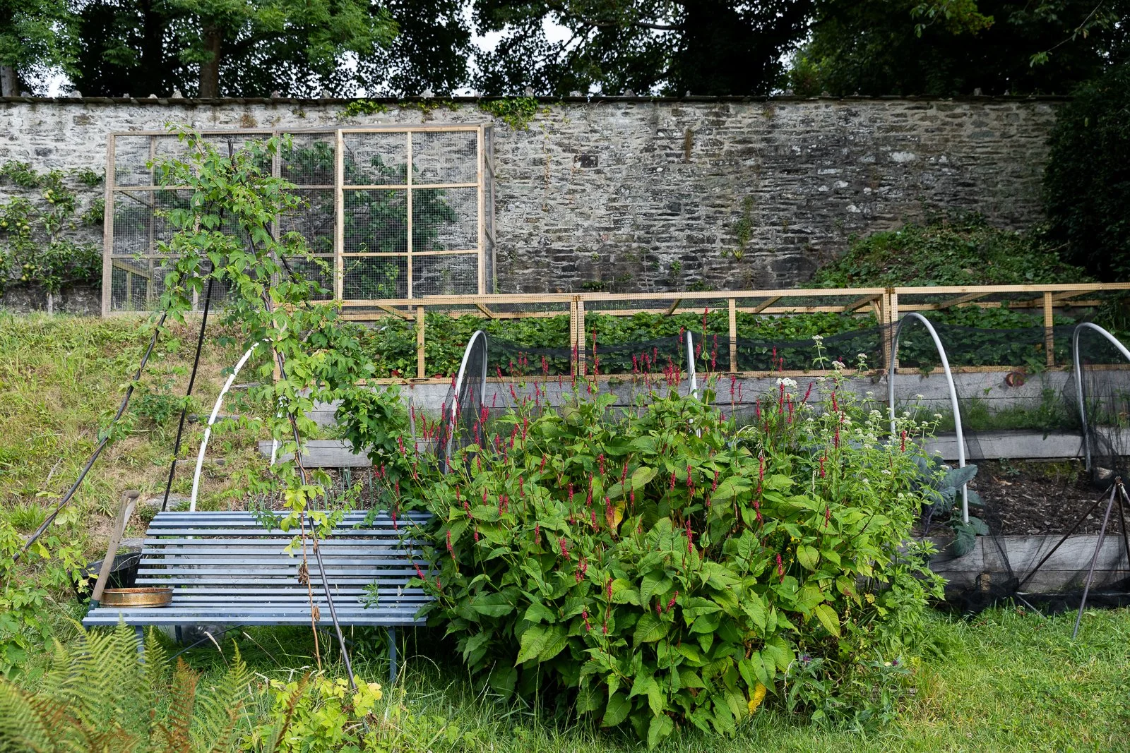 walled-vegetable-garden-bench-charlotte-bucciero-interiors.jpg