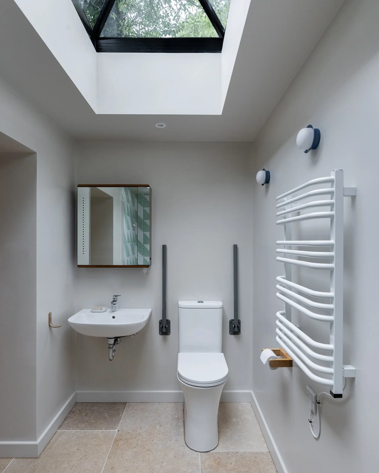 accessible-bathroom-skylight-window-charlotte-bucciero-interiors.jpg