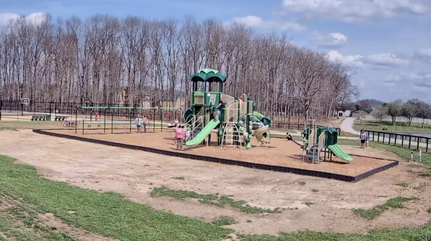 Rowan Review - March 2026