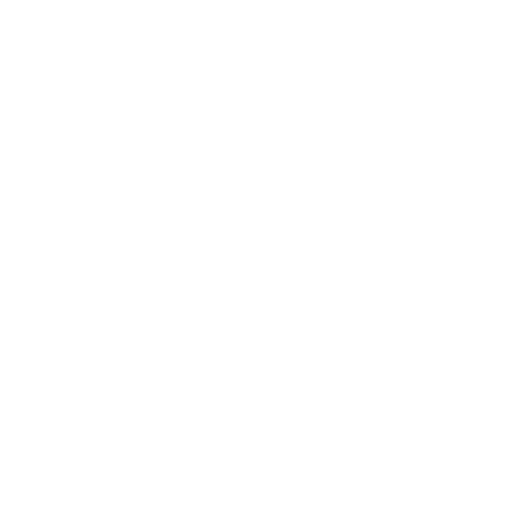 Ball Brothers Foundation