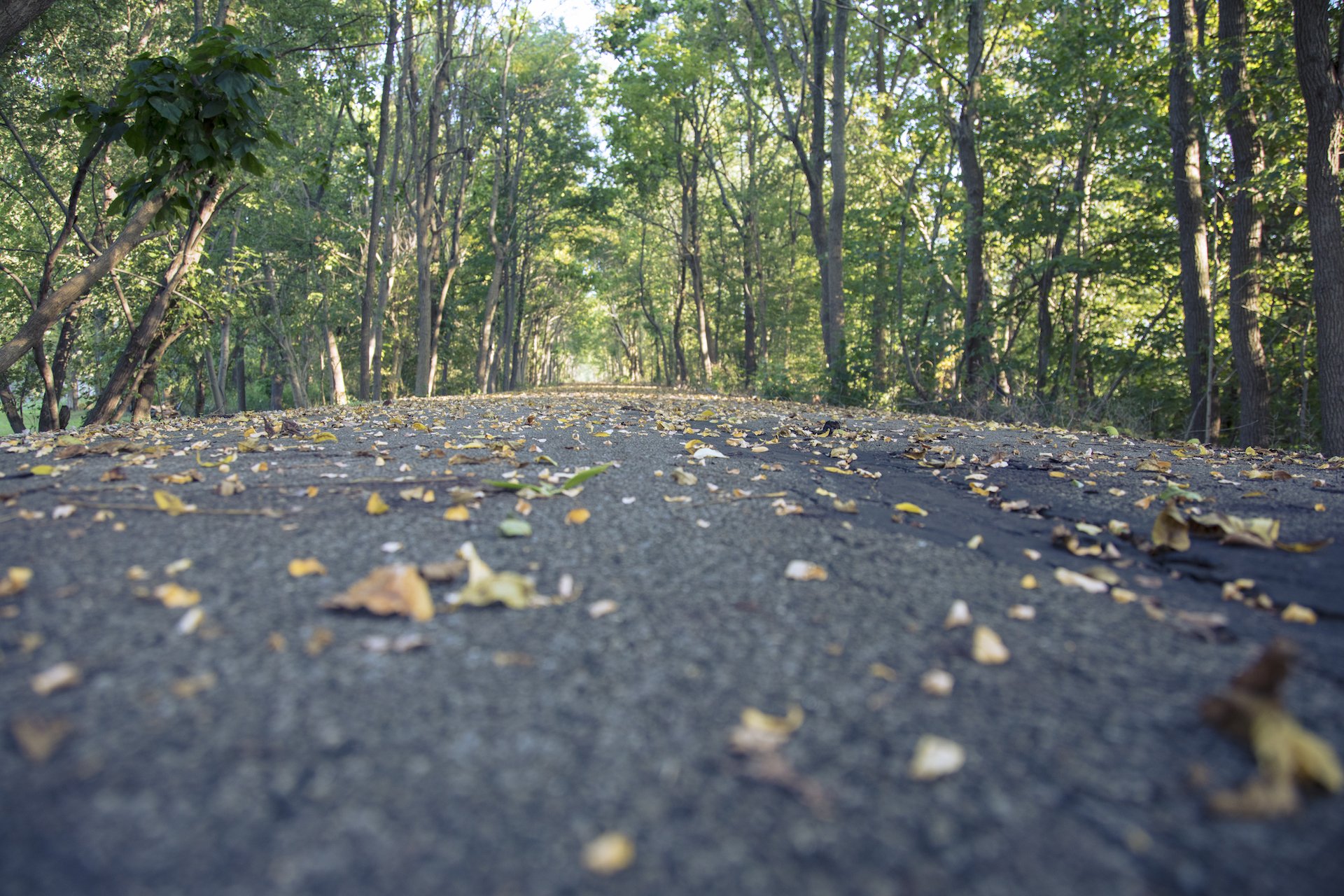 Cardinal Greenway in Delaware County