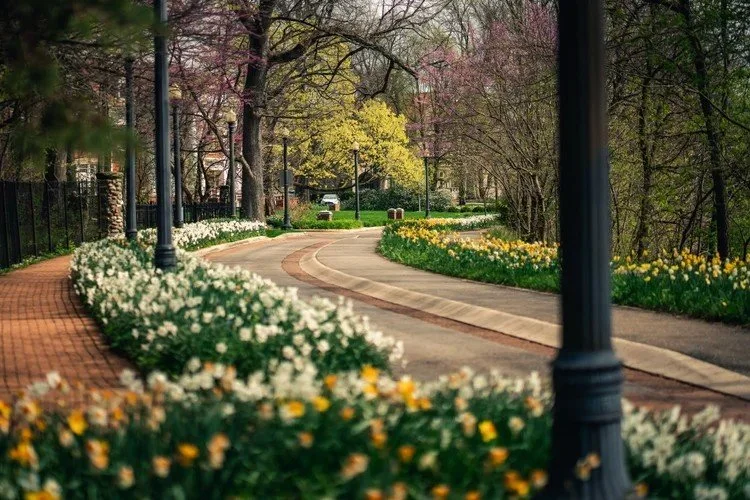 White River Boulevard and Minnetrista Boulevard: A Gathering Place by the Water