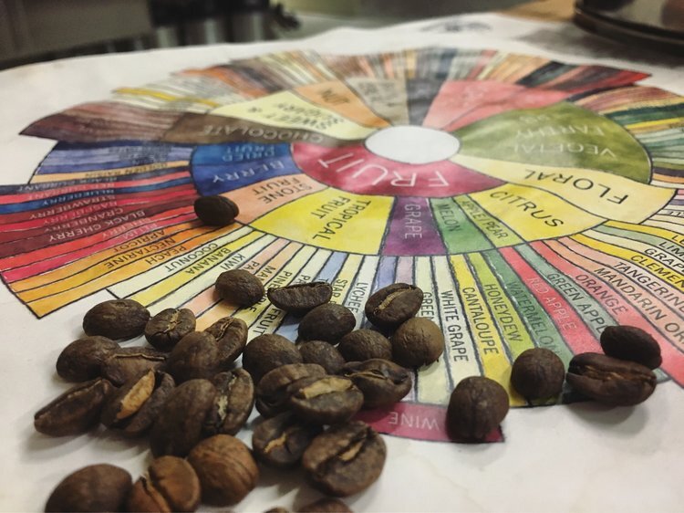 Jay Ducote collaborates with Baton Rouge’s Cafeciteaux Coffee Roasters to launch Jay D’s Single Origin Coffee, helping Dominican farmers and sustainable development education at Lycoming College at the same time.