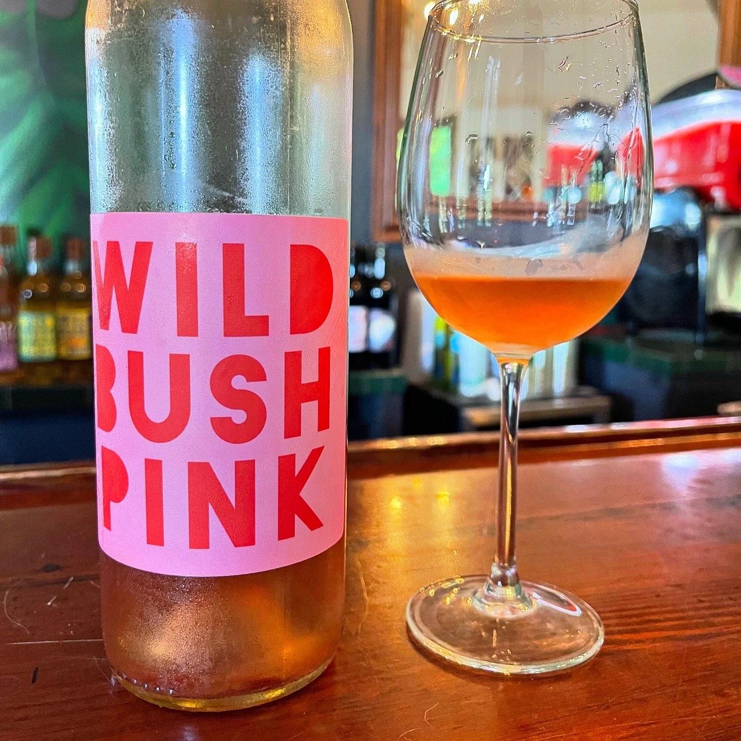 wild bush pink.JPG