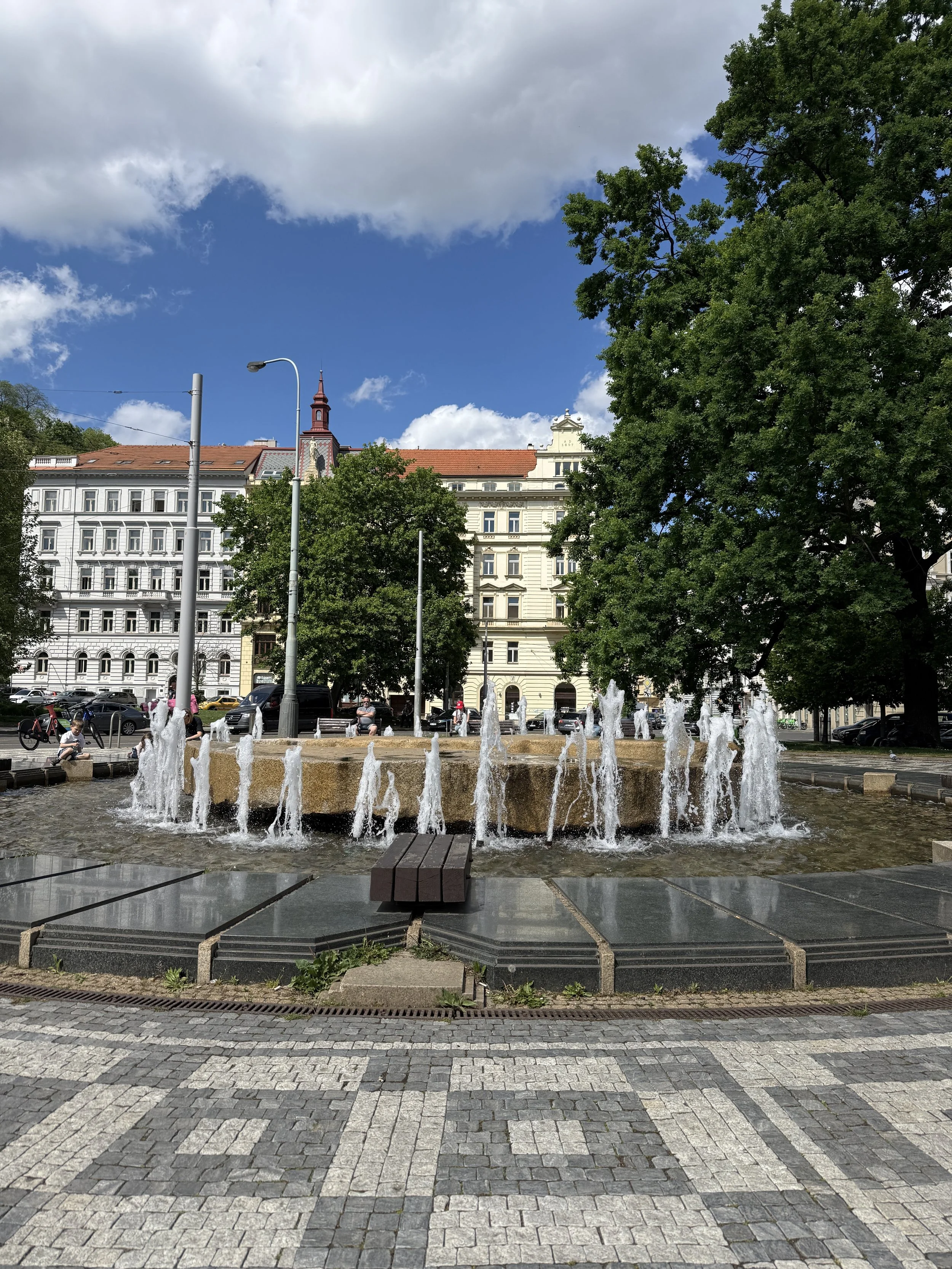 IMG_4008.jpeg