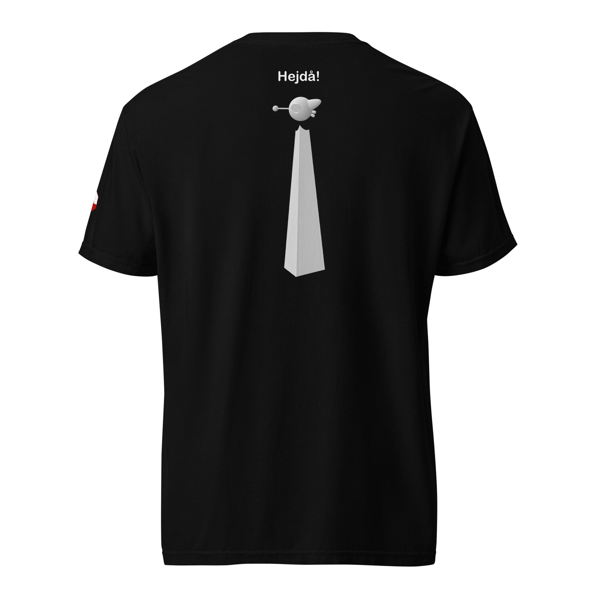unisex-garment-dyed-heavyweight-t-shirt-black-back-66c666fc14c17.jpg
