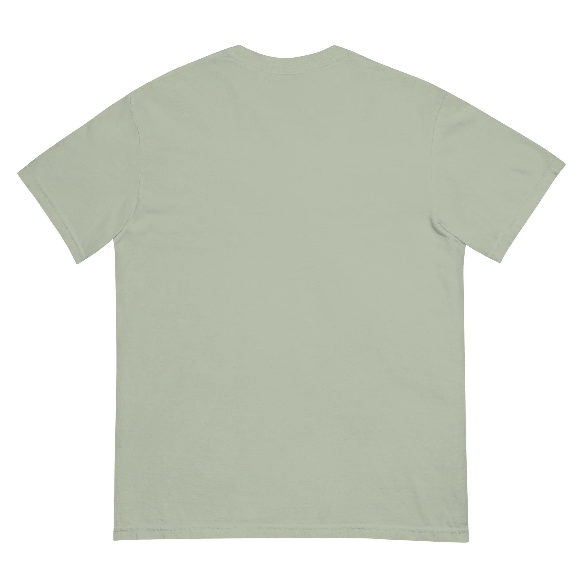 unisex-garment-dyed-heavyweight-t-shirt-bay-back-66c668d39b7e2.jpg