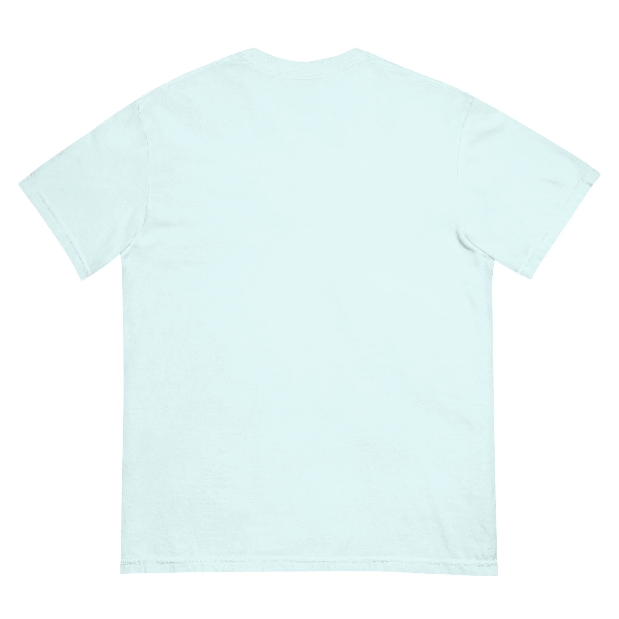 unisex-garment-dyed-heavyweight-t-shirt-chambray-back-66c668d3abd80.jpg