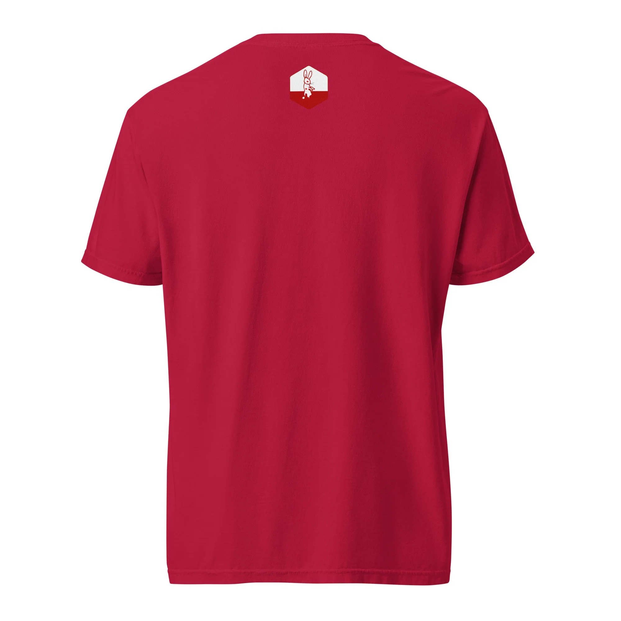 unisex-garment-dyed-heavyweight-t-shirt-red-back-66c66ecfb448a.jpg