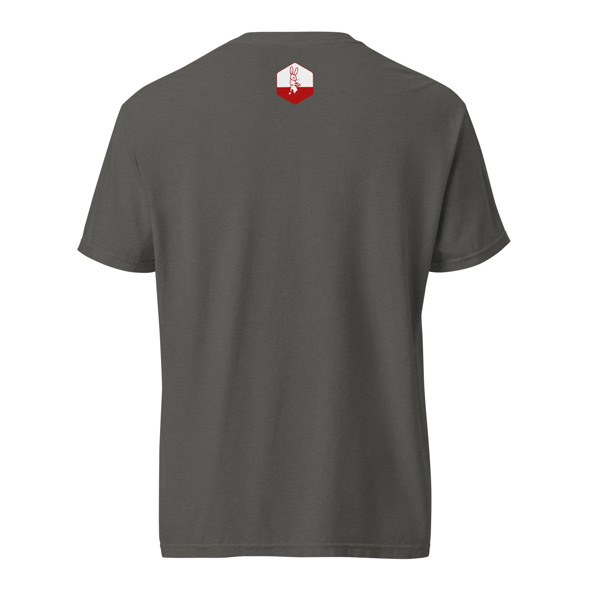 unisex-garment-dyed-heavyweight-t-shirt-pepper-back-66c66ecfb5acb.jpg