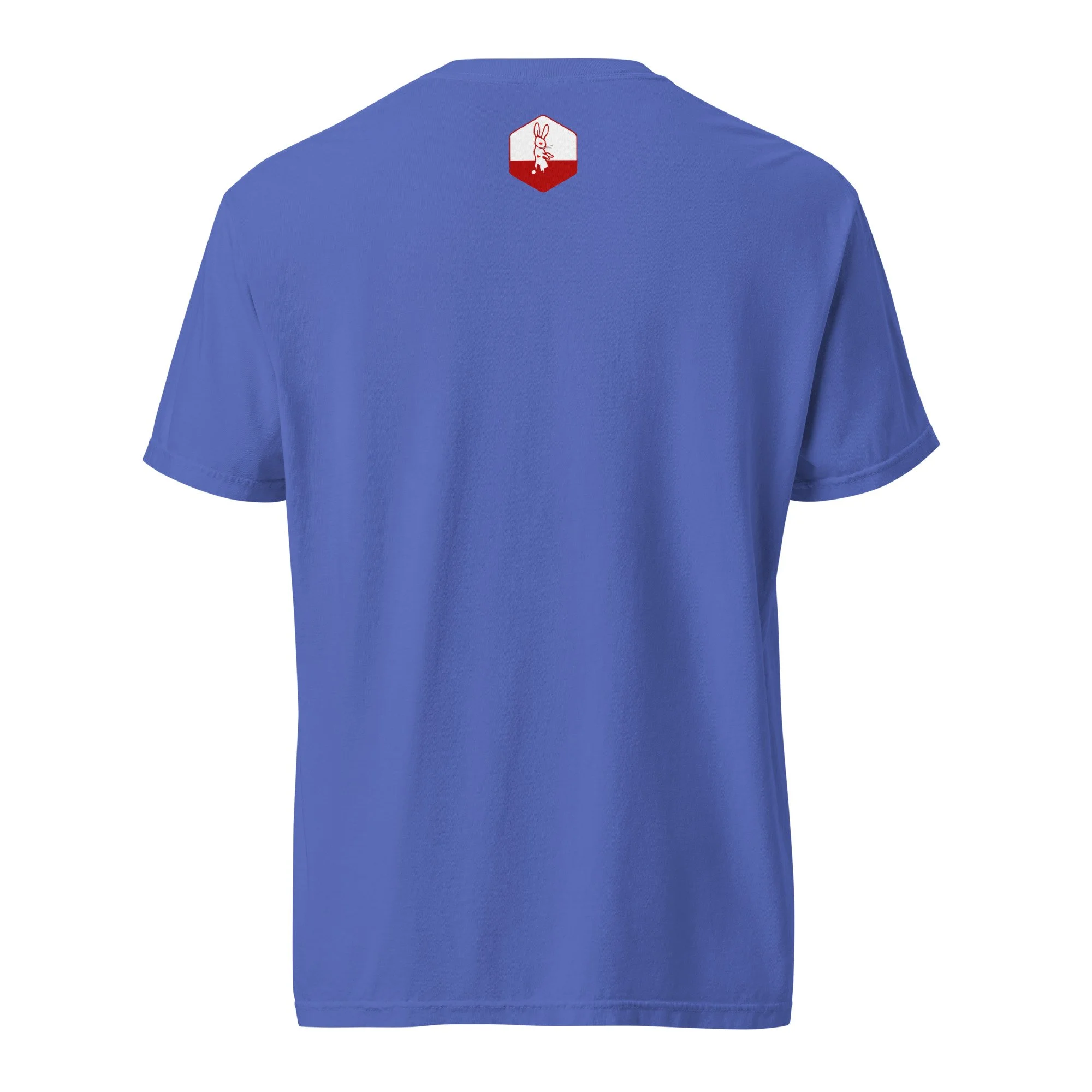 unisex-garment-dyed-heavyweight-t-shirt-flo-blue-back-66c66ecfbb396.jpg