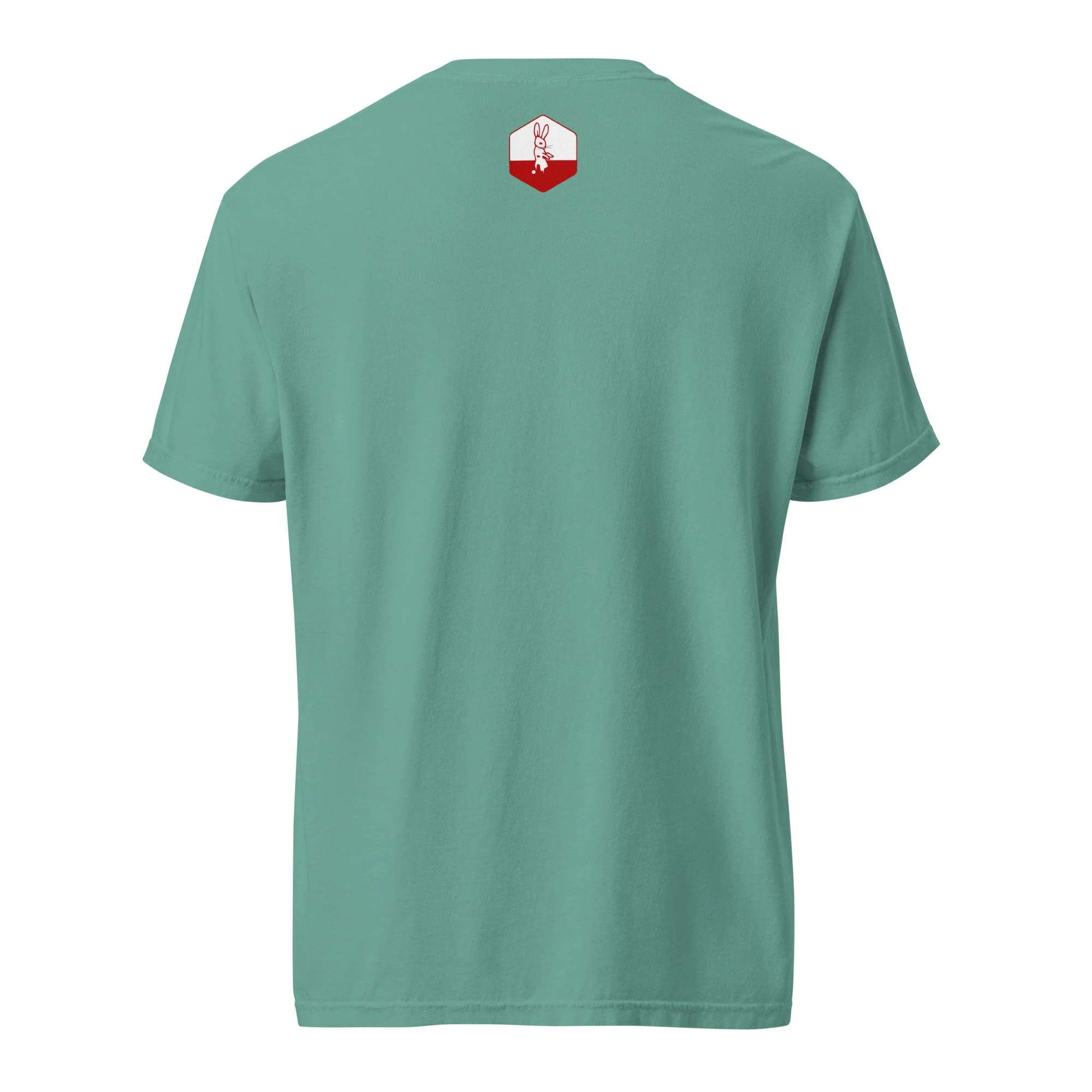 unisex-garment-dyed-heavyweight-t-shirt-seafoam-back-66c66ecfd0211.jpg
