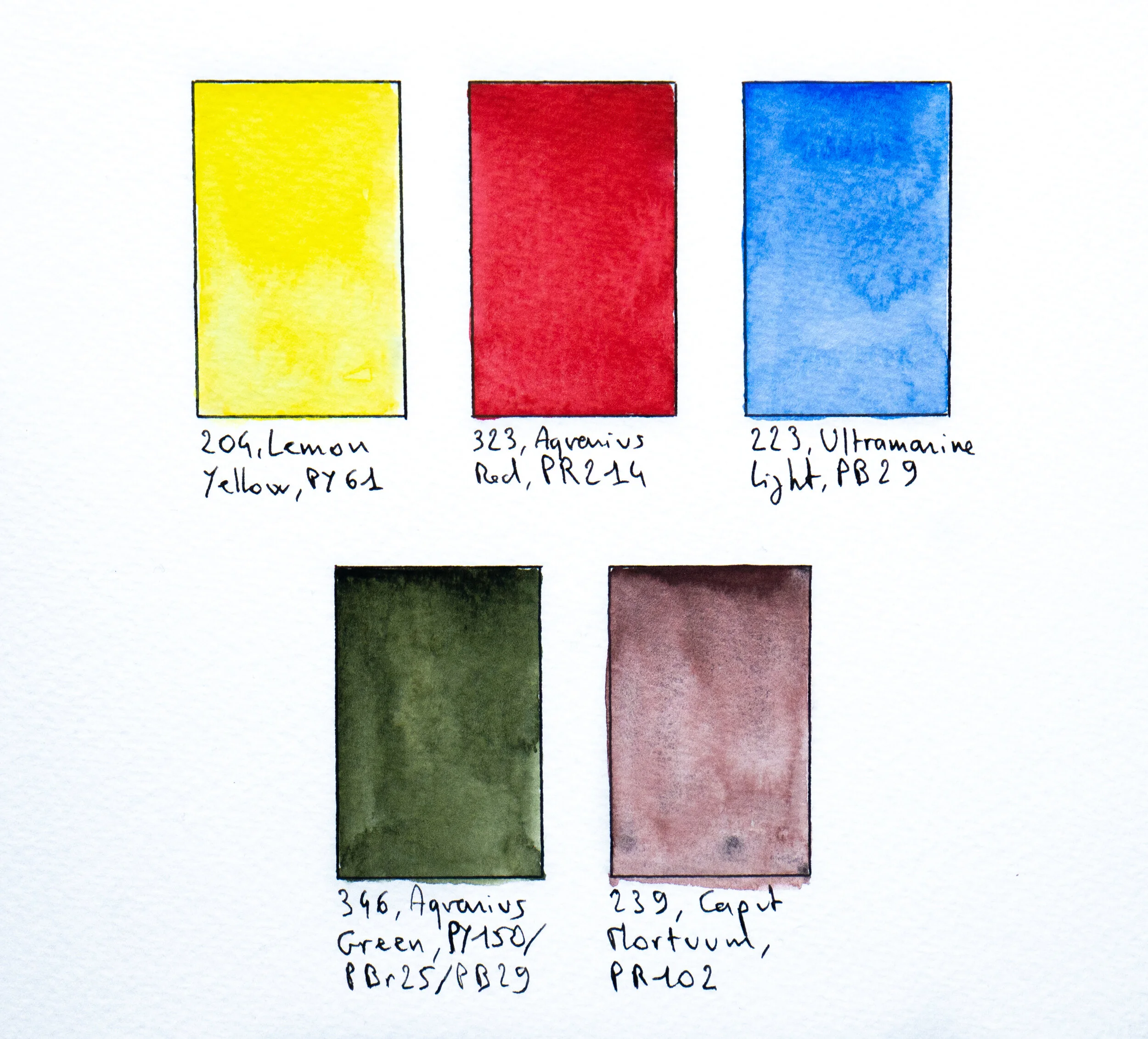 Roman Szmal Aquarius Starter Set, 5 full pans (5 godets) — StablO