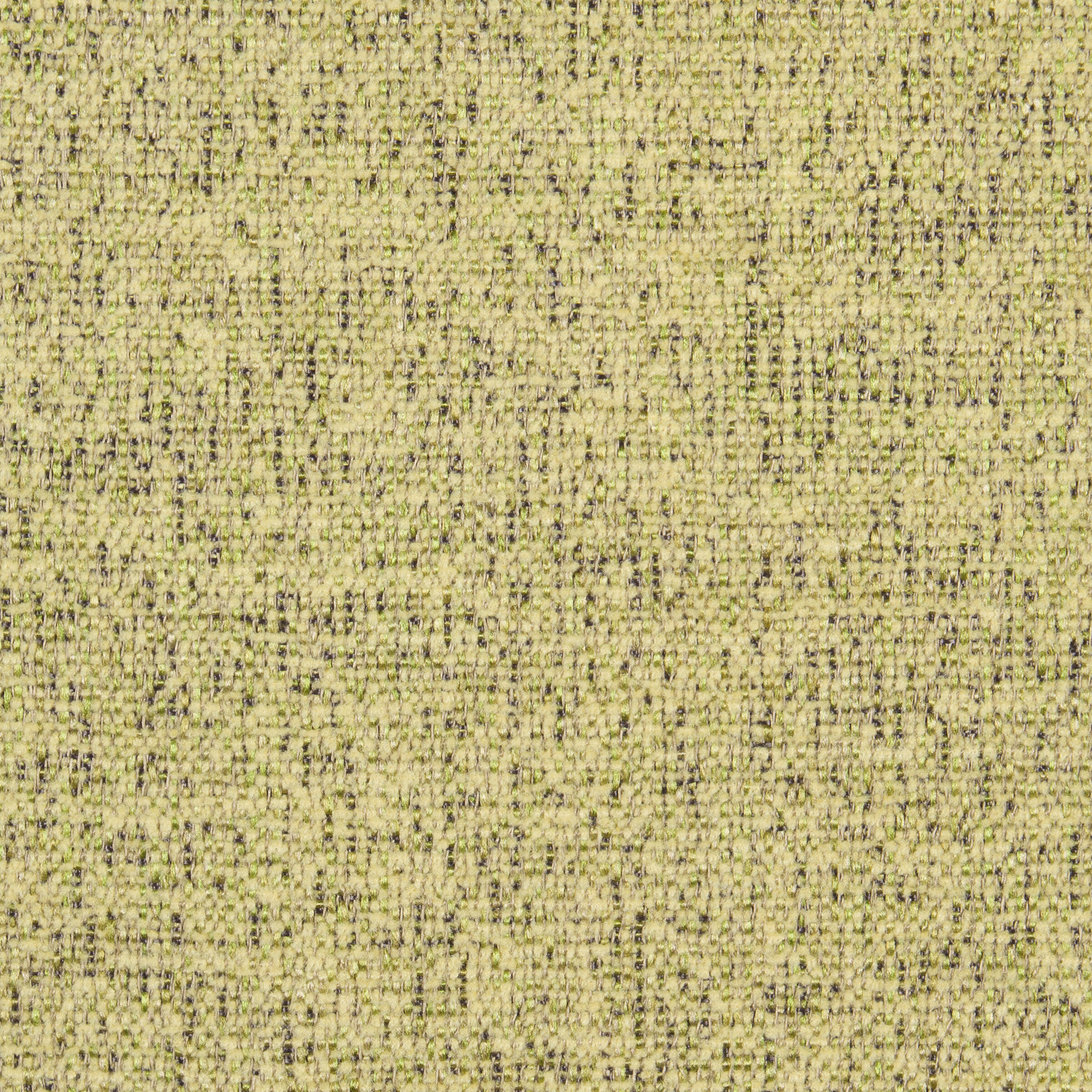 belgium moss