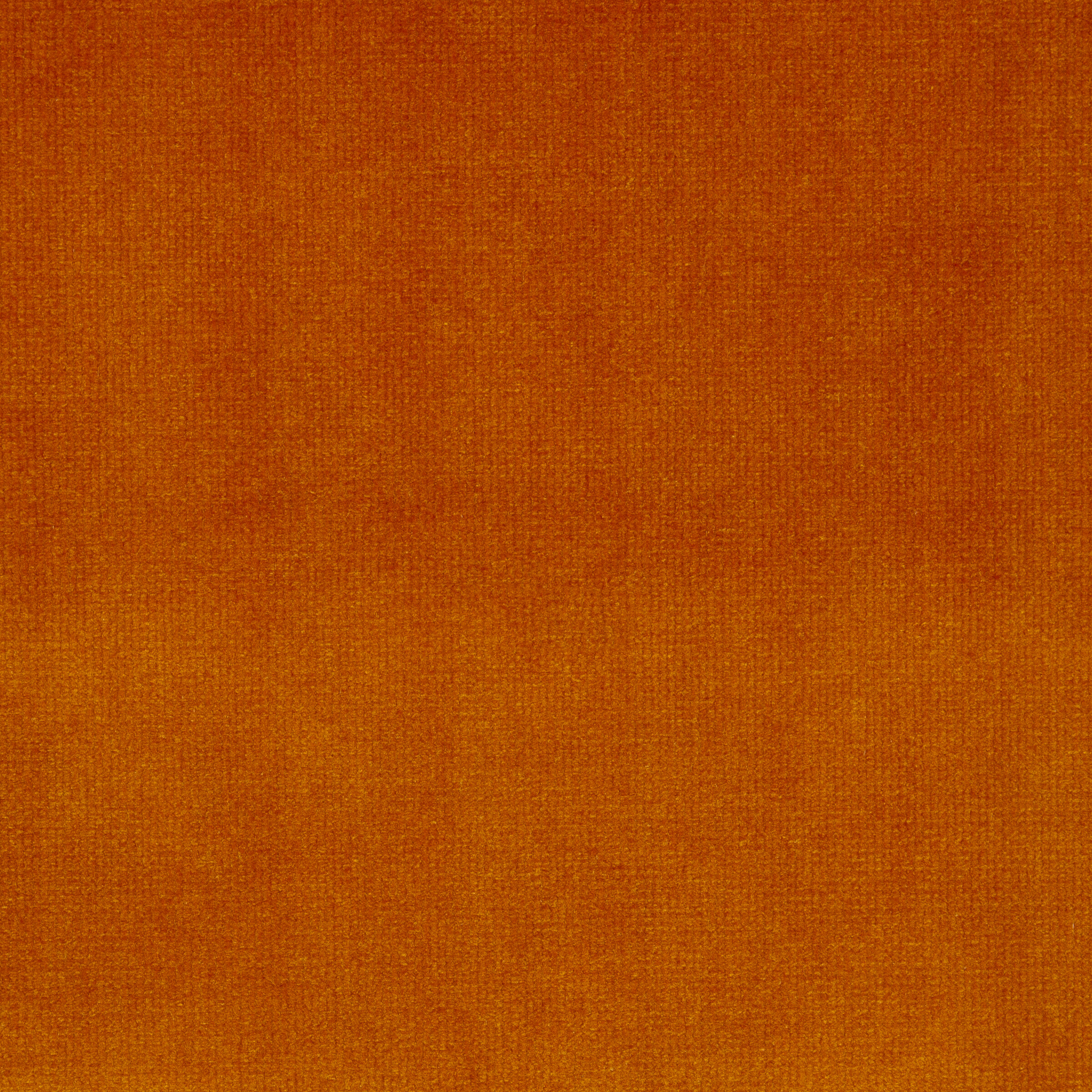 carolina citrus