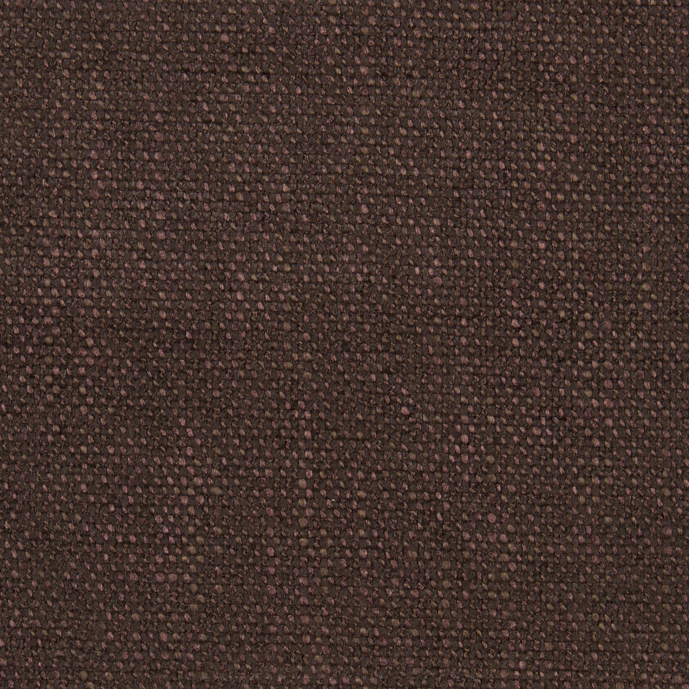 palette maple