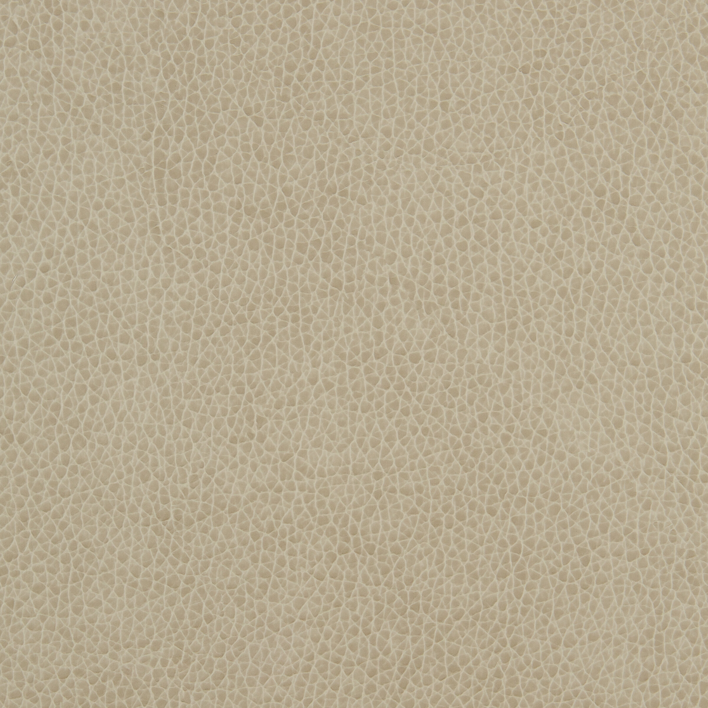 yosemite beige