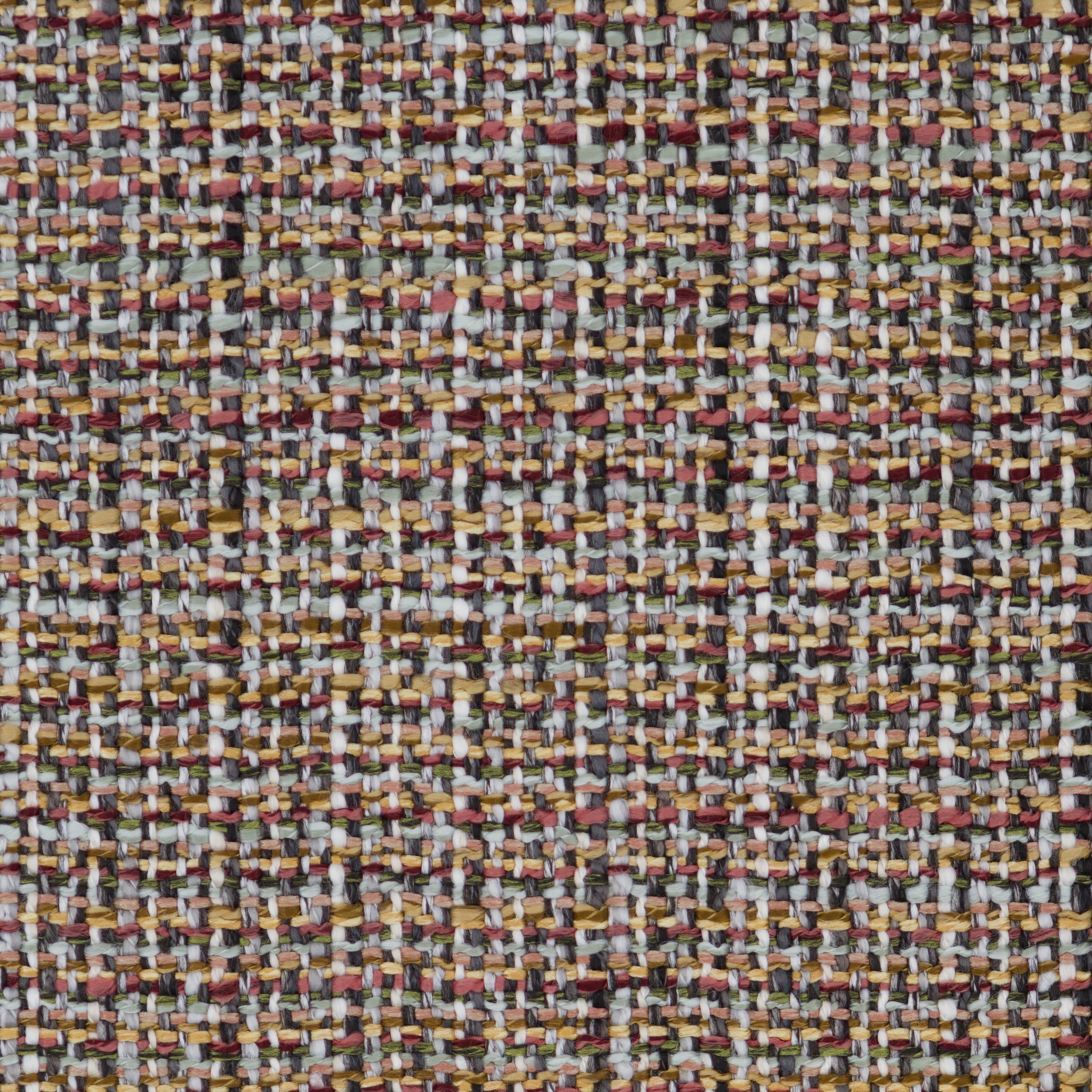 darling tortoise shell