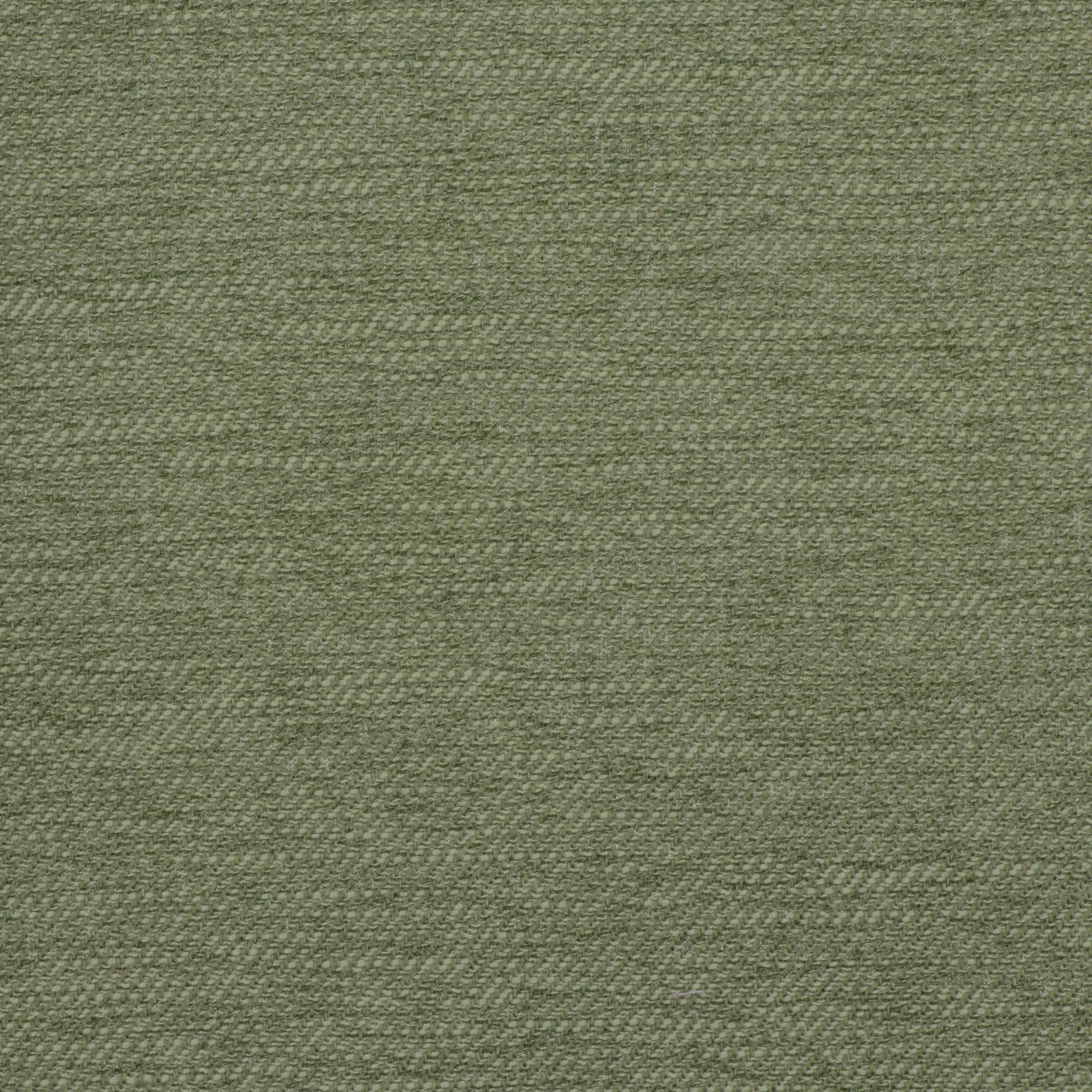 orion rosemary