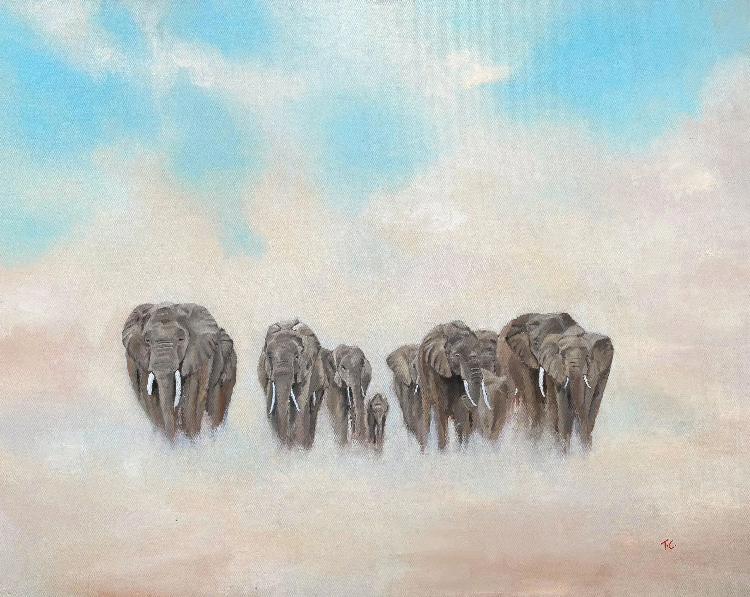 Welcome to the Herd