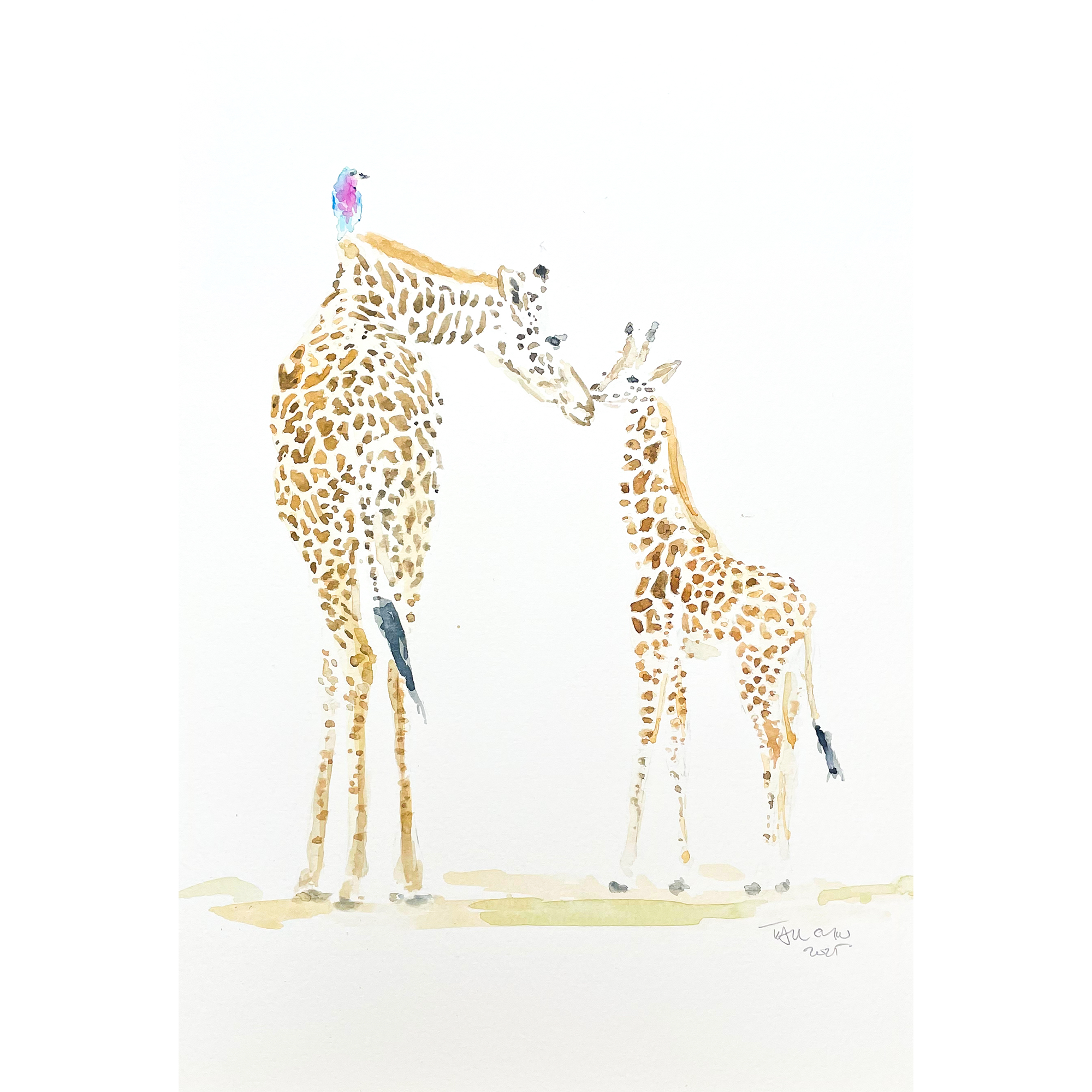 Almost As Tall - A3 Watercolour Print