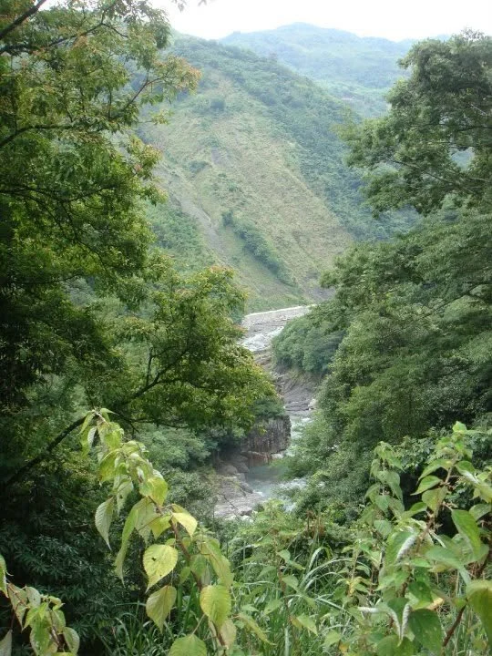 2010shiuluan.jpg