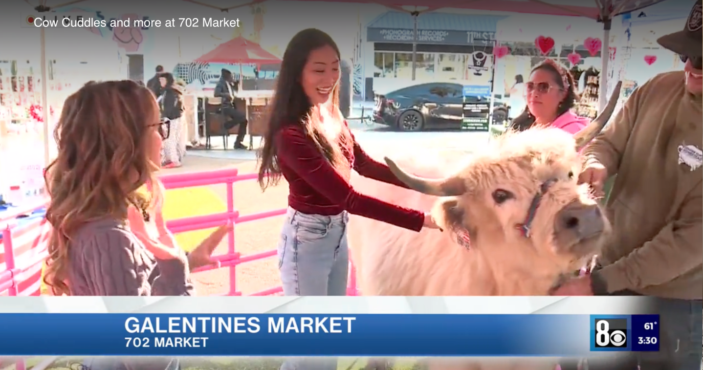 1/28/26 - Cow Cuddles and more at 702 Market
